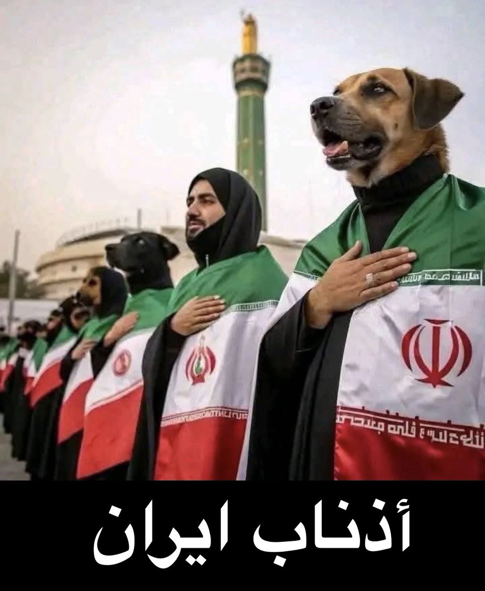 〆محمد العنزي tweet media