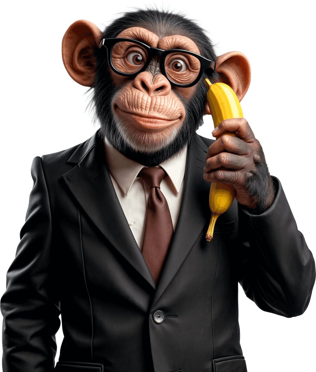 Monkey Bussiness tweet media