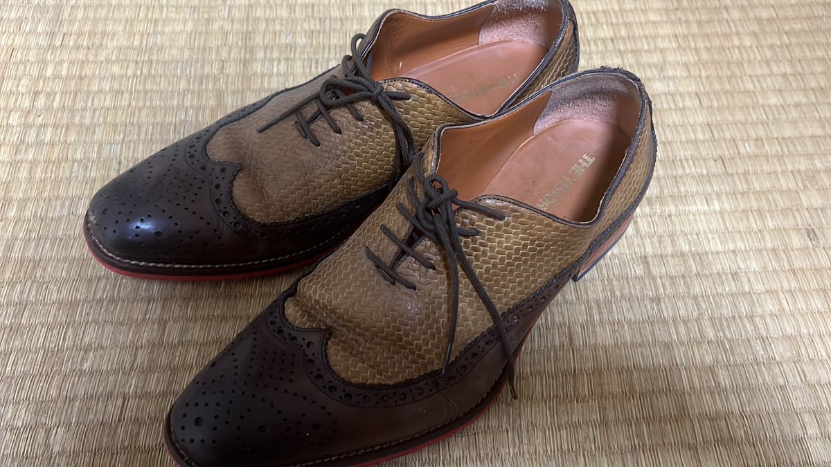 ぴろこ〄 tweet media