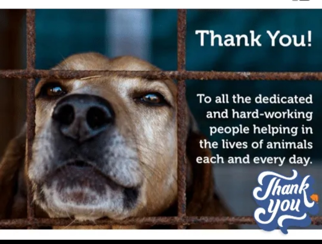 Thank you to our ACOs!!! They keep the public safe, rescue animals from dangerous situations, help with disaster relief... they are not the bad guys... they LOVE animals &amp; do everything they can for them and the community!

<a href="/413animals/">TJO Animal Control</a> #ACOAppreciationWeek
