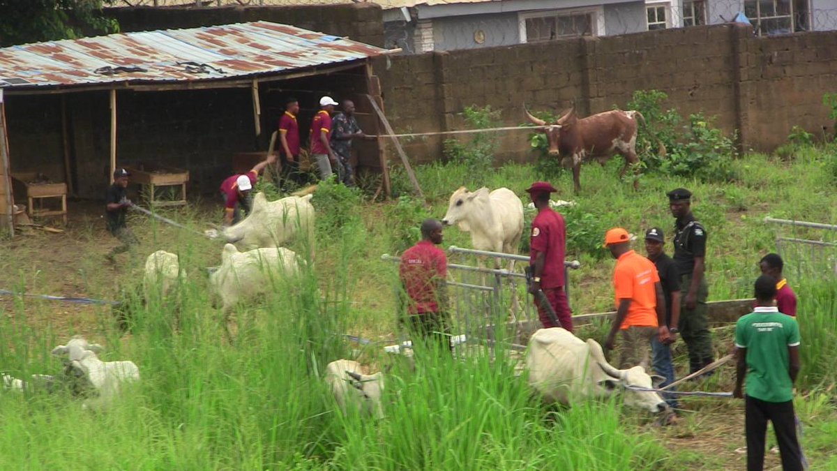 oyostategovt tweet picture