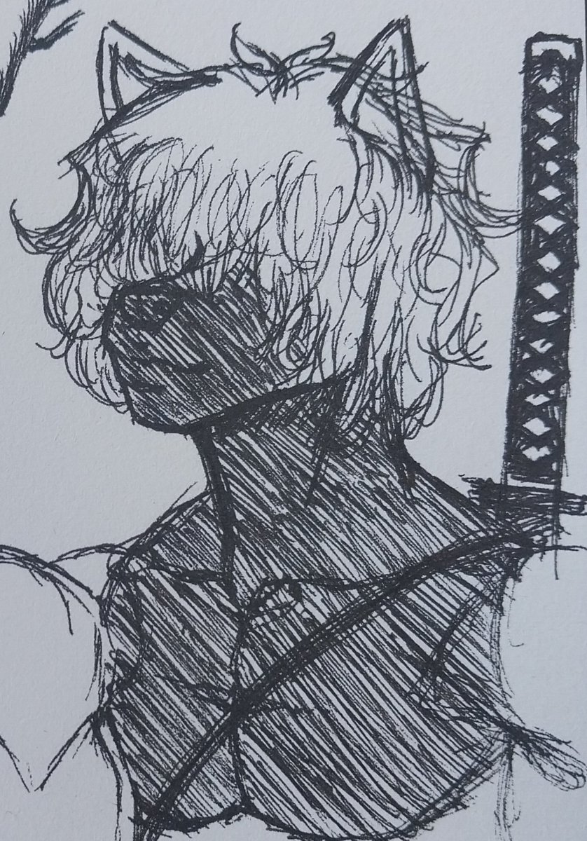 Boggo :) tweet media