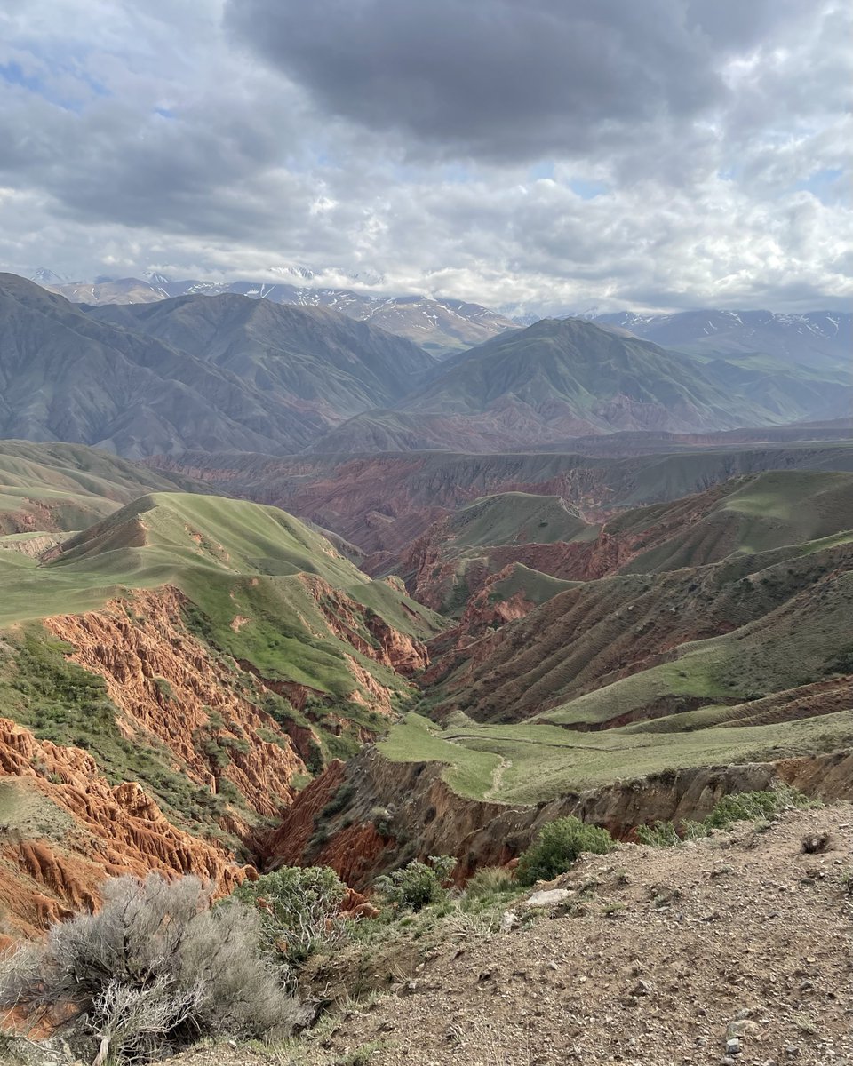 Саша Дерг tweet media