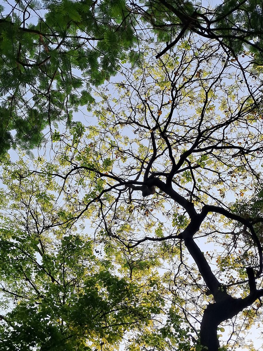 Usha Wildflower 🌱📚 🍀 tweet media