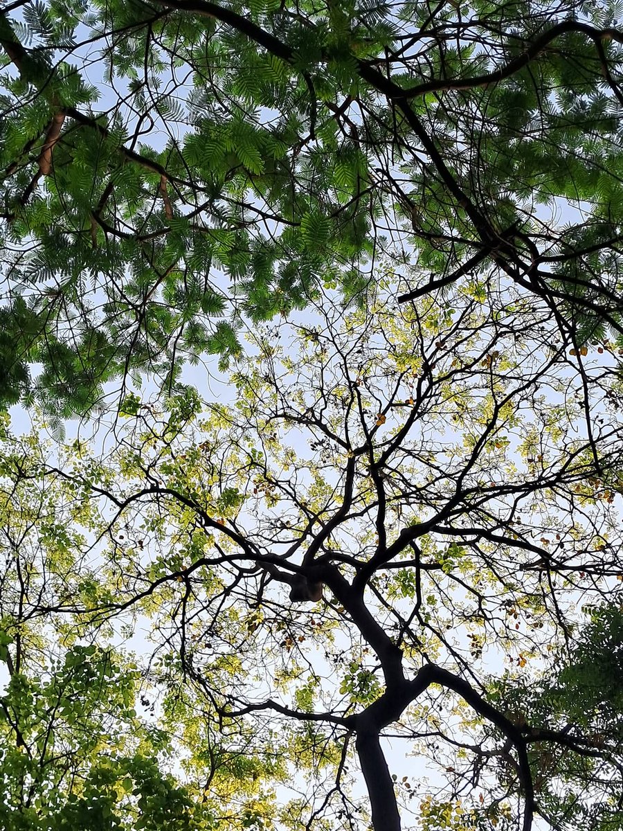 Usha Wildflower 🌱📚 🍀 tweet media