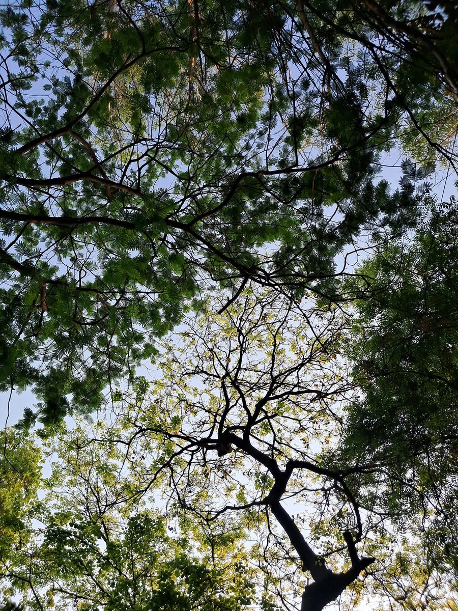 Usha Wildflower 🌱📚 🍀 tweet media