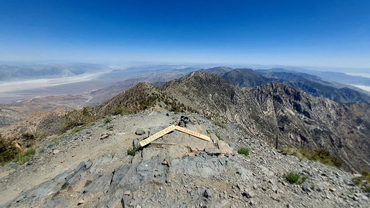 Soul Fur tweet media