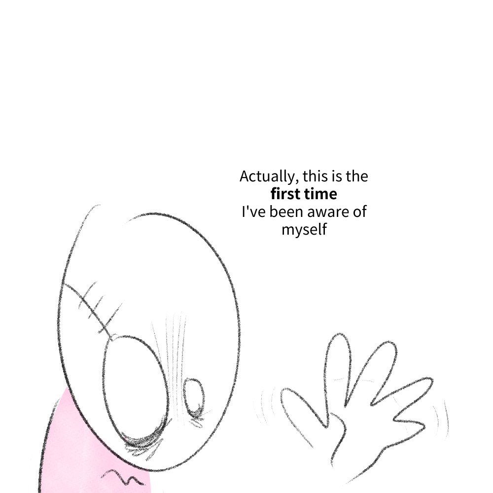 St. Bermuda tweet media