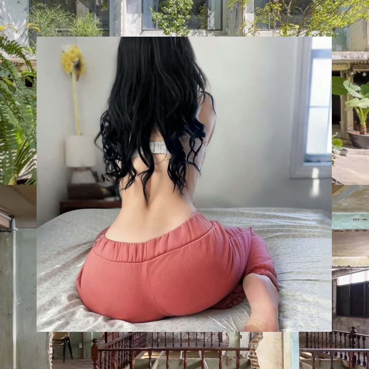 Fred Torres tweet media