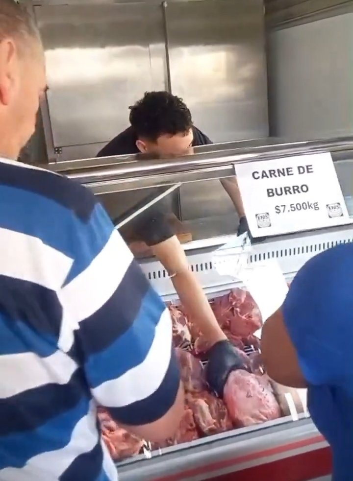 Freddy Oliviery tweet media