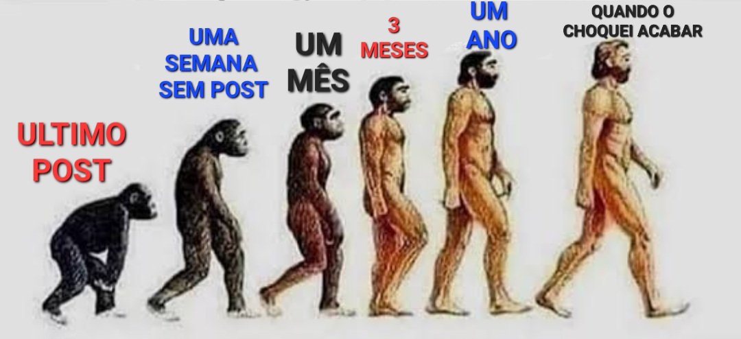 Joaquin Teixeira tweet media