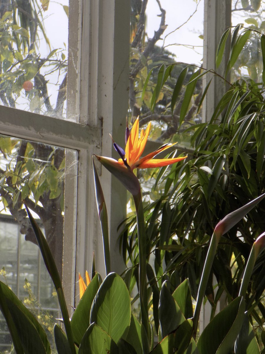 ˙⋆✮𝑠𝑎𝑟𝑎ℎˎˊ˗ tweet media