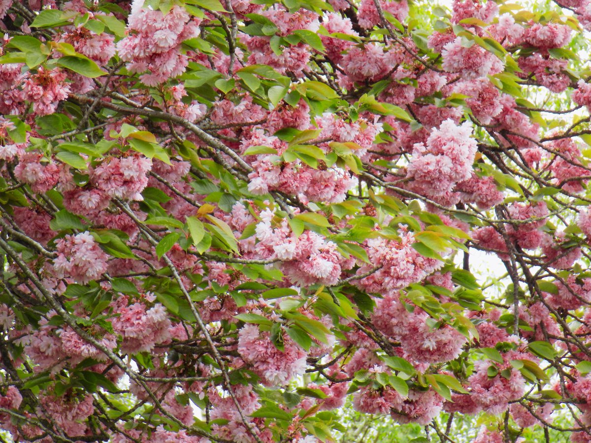 ˙⋆✮𝑠𝑎𝑟𝑎ℎˎˊ˗ tweet media