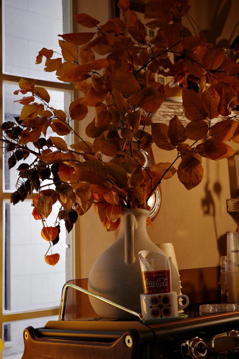 anne coggon tweet media