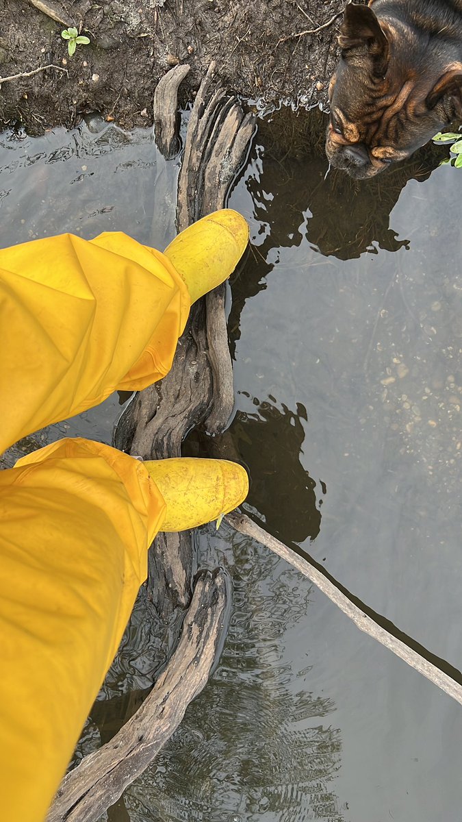 MistressMegXoXo's tweet photo. Keep your soul clean and your boots dirty 👢🌧️
Send for coffee ☕️
https://t.co/80HA3XZJbd
Findom femdom humanwallet cashslave footworship footboy hypno footfetish humiliation joi #rainwearfetish #raingearfetish #pvcraincoat #rubberrainwear https://t.co/Se1zE5WOVQ