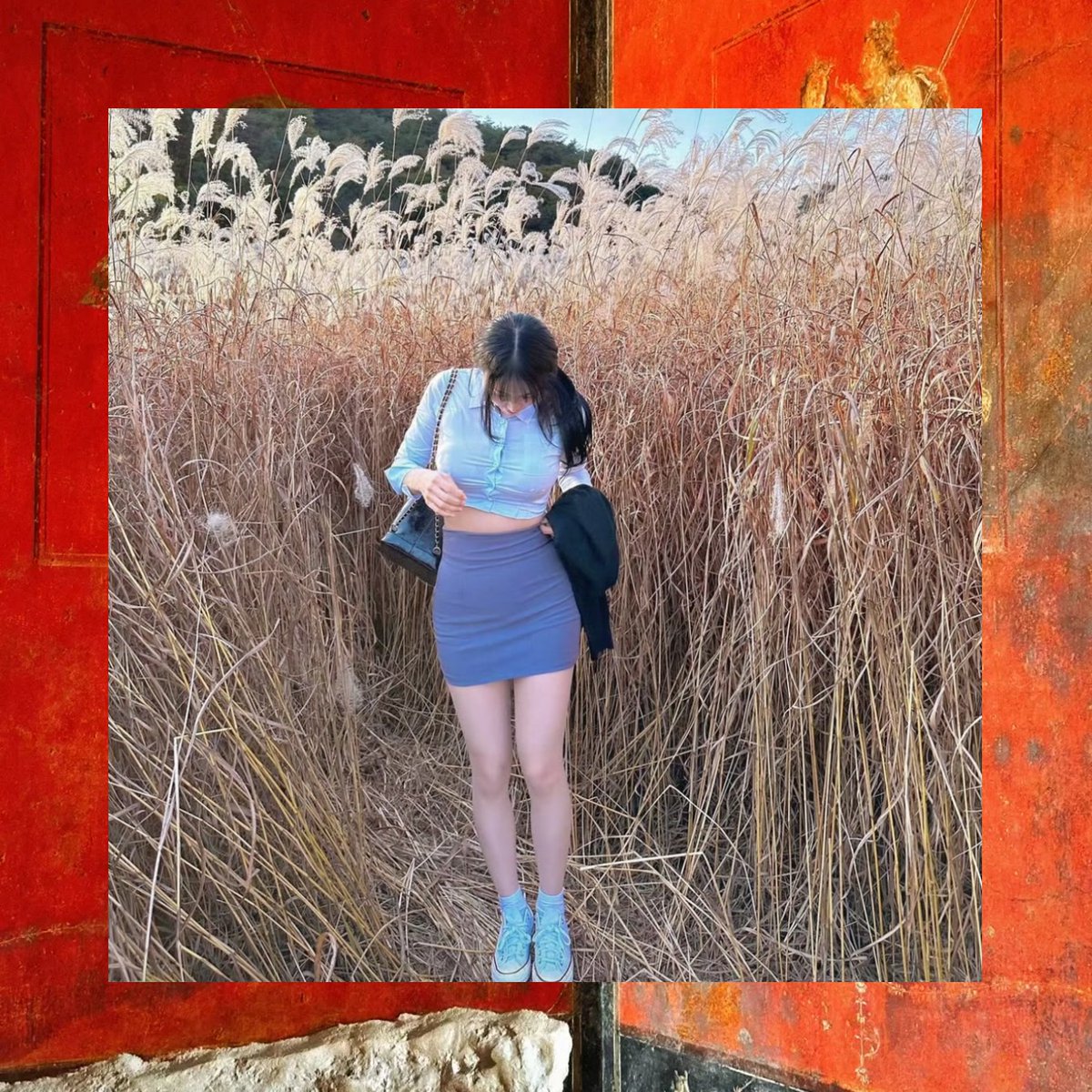 Maria Wilcox tweet media