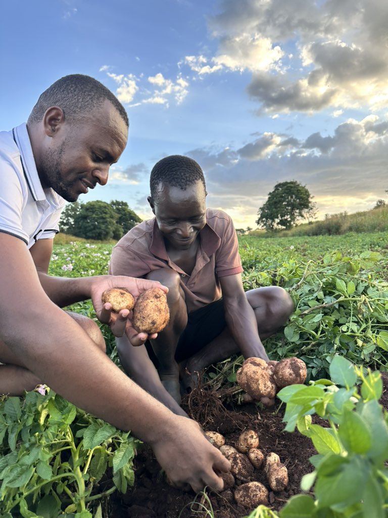 Anesu Mapisa tweet media