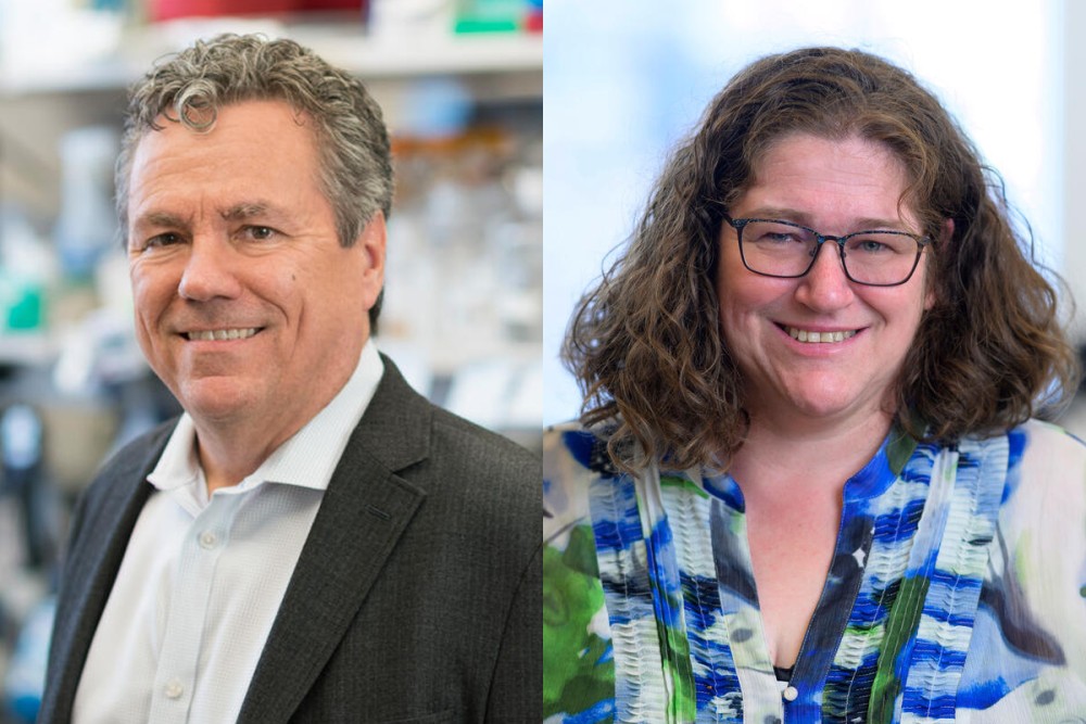 New research from MSK, led by Dr. Scott Lowe, Dr. <a href="/dana_peer/">dana_peer</a>, and colleagues, shows how pancreatic cells can shift from a benign state to cancer — revealing new aspects of this process.

The study, published in <a href="/CellCellPress/">Cell</a>, identifies a critical window for early detection and