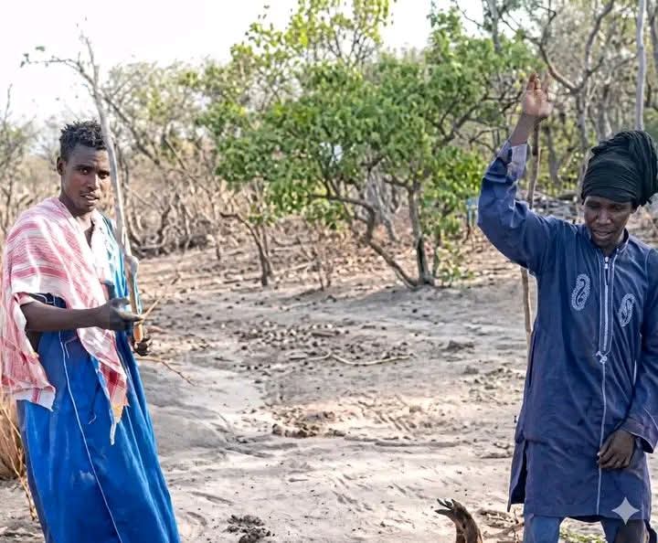 Upamapius tweet media