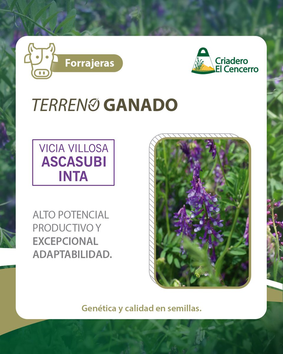 Criadero El Cencerro tweet media