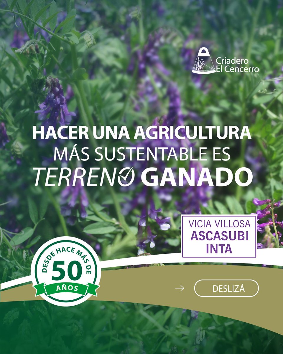 Criadero El Cencerro tweet media