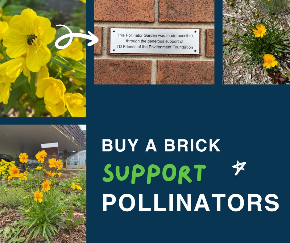 TheCommonRoof's tweet photo. We're building a commemorative brick plaque wall at the Barrie Common Roof, right behind our pollinator garden! For $100, you can purchase a personalized plaque to honour a precious friend, in memory of a loved one, or beloved pet. Learn more: https://t.co/fBtq8DkfI1 https://t.co/B98aFTYsDw
