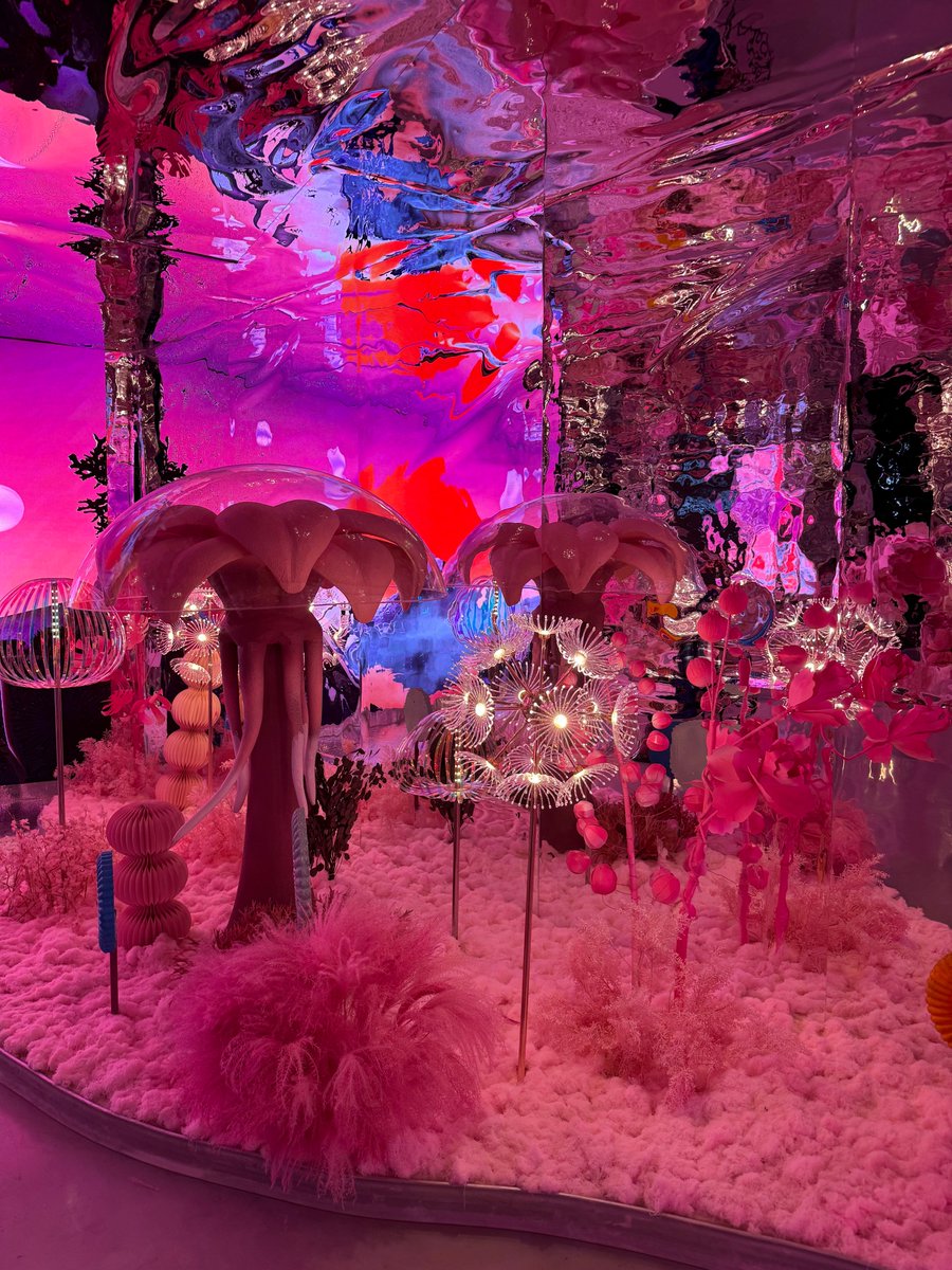 Cyrus Niccore tweet media