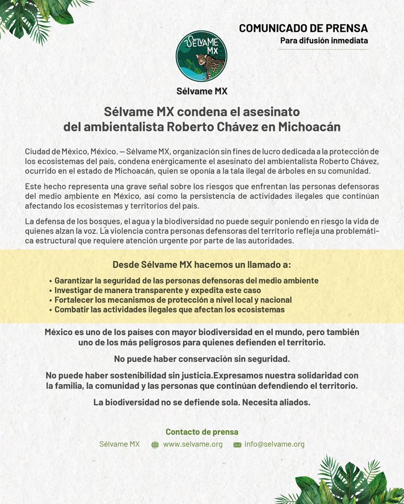 SelvameMX's tweet photo. Desde @SelvameMX exigimos justicia y protección real para los defensores del territorio. No hay sostenibilidad sin justicia ni conservación sin seguridad. La biodiversidad no se defiende sola; necesita aliados. 🌳🇲🇽 #JusticiaParaRobertoChávez #NiUnDefensorMenos https://t.co/L6lo7YceR7