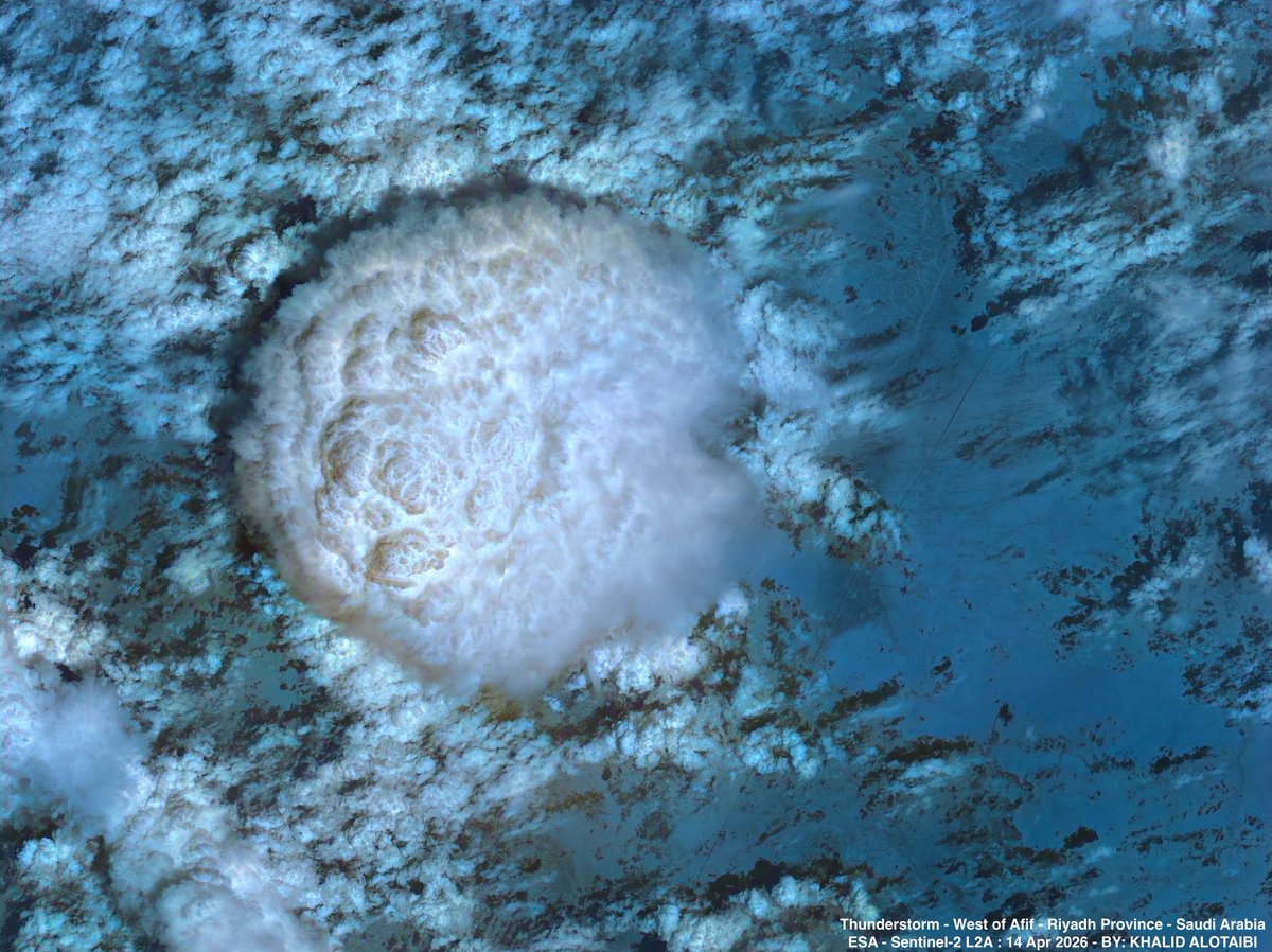 Khalid Al-Otaibi tweet media