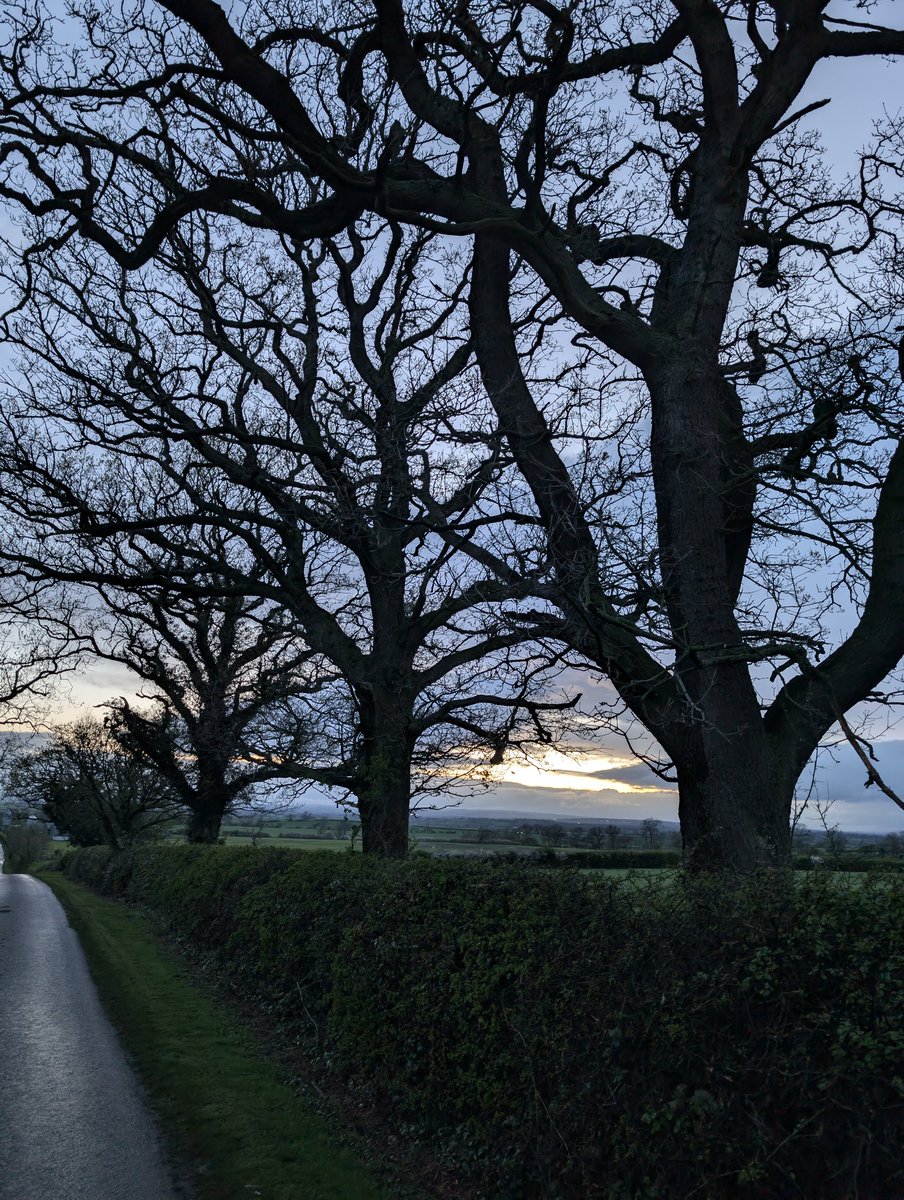 Papadopoli60571's tweet image. Tonight's Sunset, 20:11.#sunset