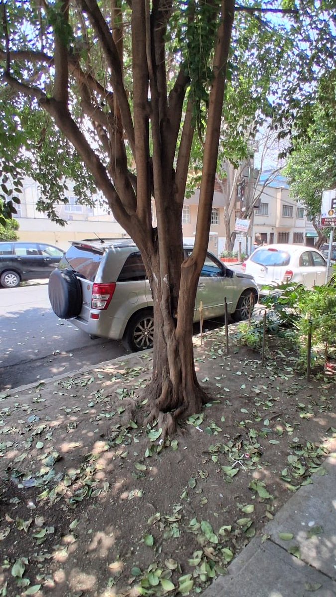 Acciones BJ tweet media