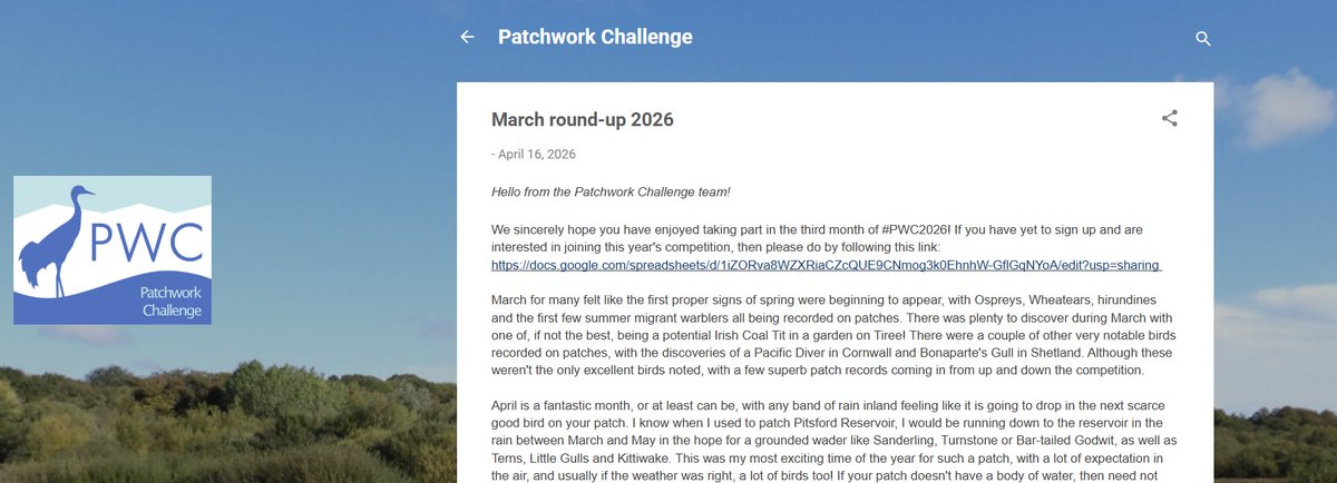 Patchwork Challenge tweet media