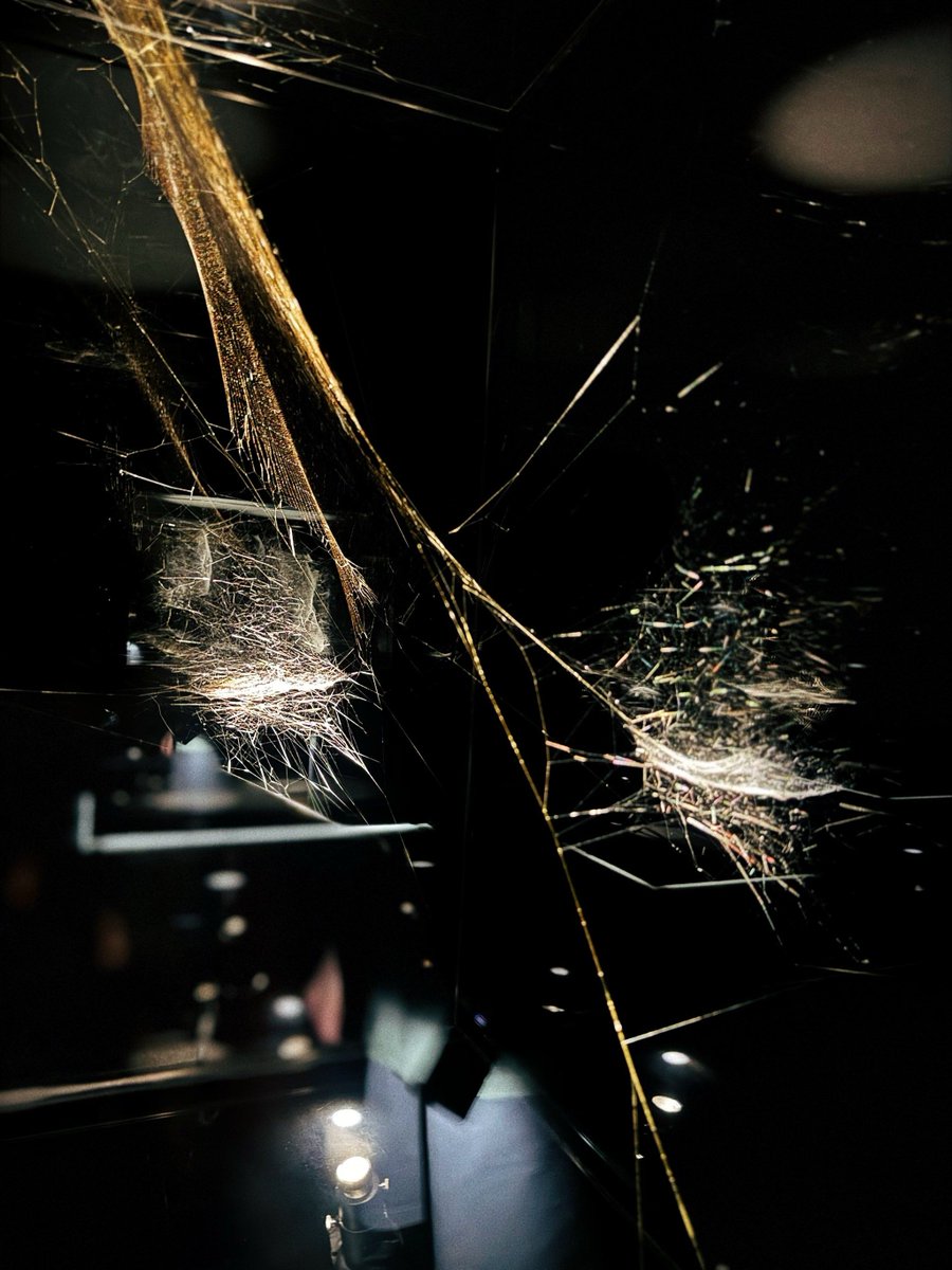 AndreaDiPrisco2's tweet image. "Stepping into the immersive light installation felt like walking through a living watercolor—soft hues shifting with every step, turning ordinary space into a dreamscape.  #ArtExperience #LightArt"