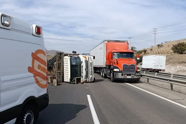 chicureohoy's tweet photo. Alerta por abejas en Ruta 5 Norte tras volcamiento de camión en Tiltil.
La emergencia obligó activar medidas en zona cercana a Huertos Familiares y mantiene riesgo para conductores.
https://t.co/63EQy1Xo8f https://t.co/kMPumpwGEg