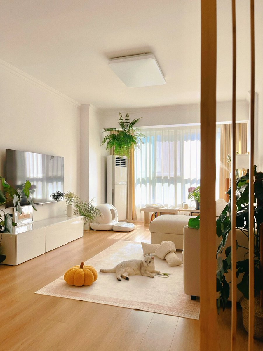 LemariPatricia2's tweet image. "10 mins of building forts = 100x the giggles u0026 heart eyes  Tag a parent who’d skip chores for this! #FamilyFun #ParentingWin"