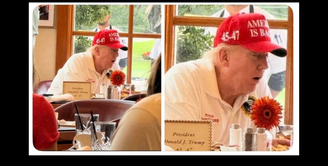 MAVERICK9547's tweet image. Bob this is your alpha leader in his natural habitat without drugs or makeup. Shown here taking a s##t and eating at the same time. I mean this guy can multitask. Im thinking his hat is displaying his IQ which is between 45 and 47. Is it possible to sit and be in a coma. Alpha 🤣
