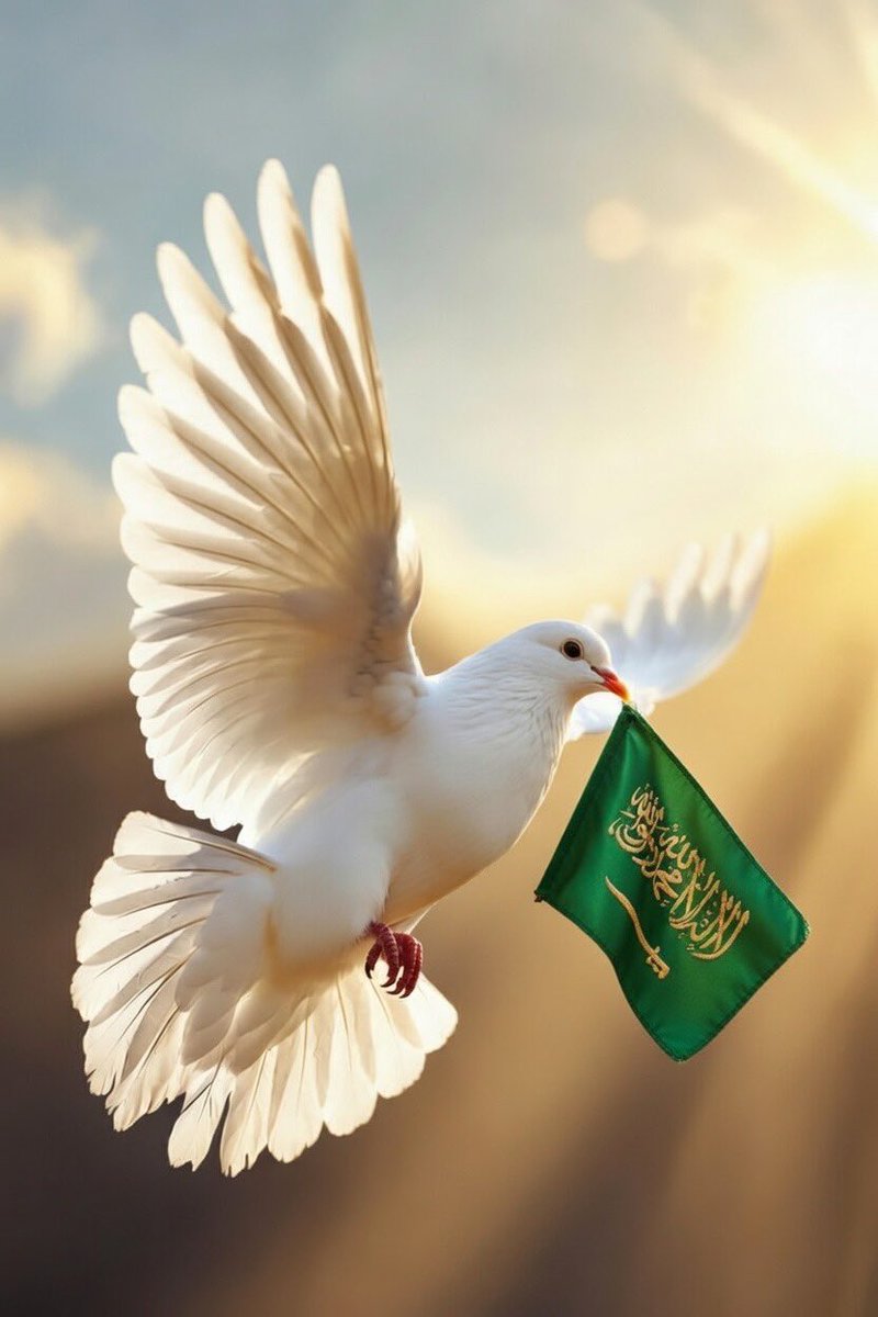 معيض عبدالله🇸🇦 tweet media