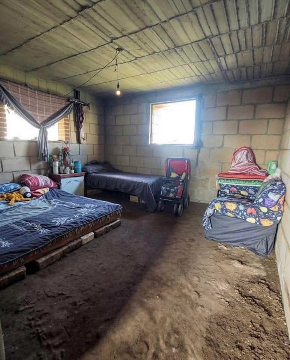 Oscar ✨ tweet media