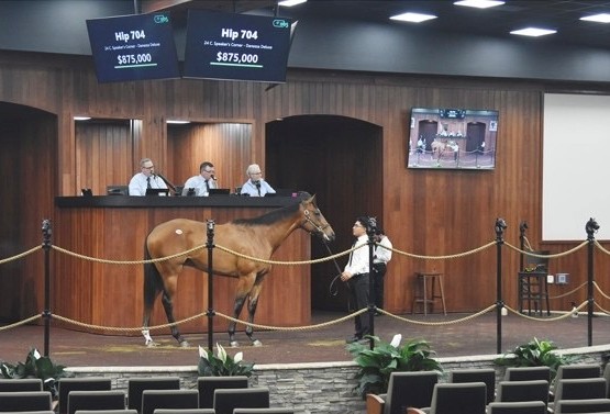 Darley in America tweet media