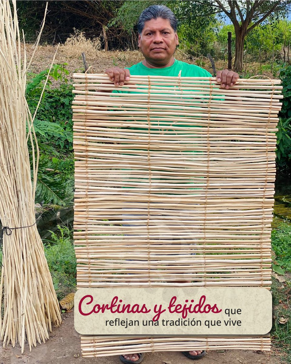 columbalopezg's tweet photo. ¡Miren qué chulada! 😍😍

En Ixtlahuacán, Colima, manos de #OrgulloSV transforman el acapán en múltiples artesanías que preservan sus raíces y además dan sustento a sus familias. https://t.co/tvo5uVZ4d2
