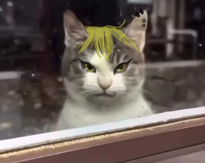 _blossoMIN's tweet photo. I see cat
I see Naoya
I paint Naoya on cat https://t.co/mCaCa0aBsu
