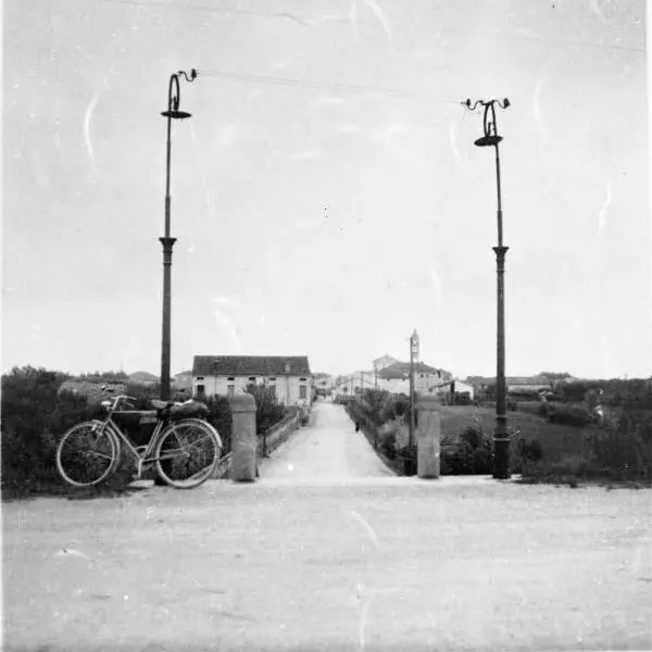 Simonetta Montanari tweet media