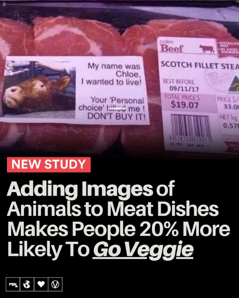 Plant Based News tweet media