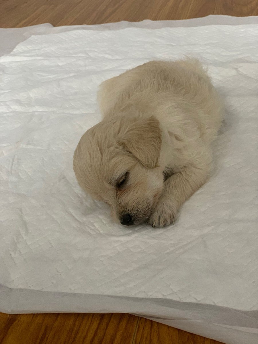 Amanda Miller tweet media