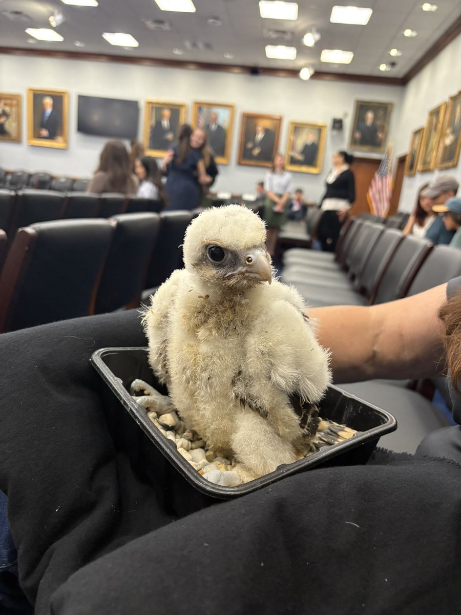 Heather Swift tweet media