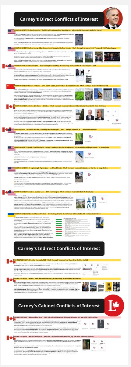 Moose on the Loose tweet media