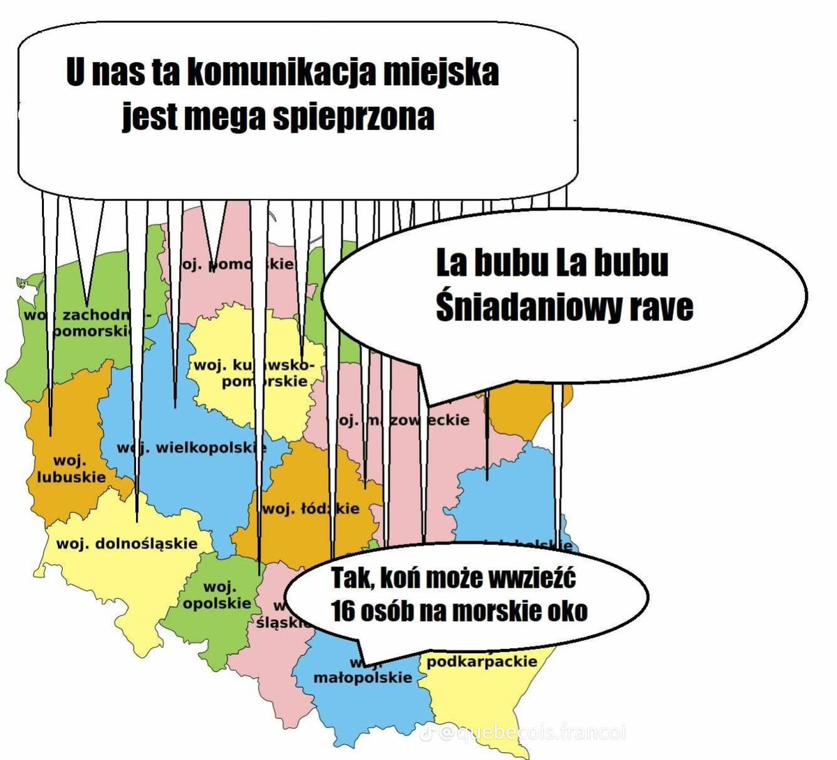 Michalina Kobla tweet media