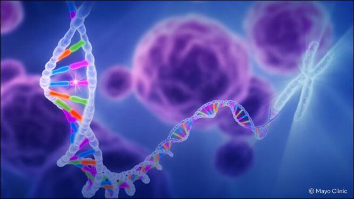 Mayo Clinic Proceedings tweet media