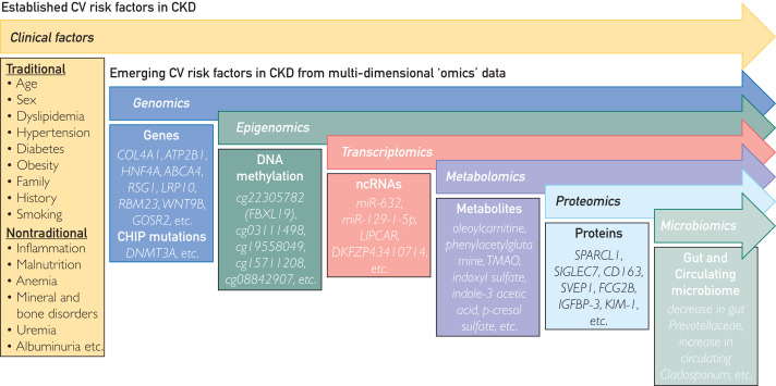 Mayo Clinic Proceedings tweet media