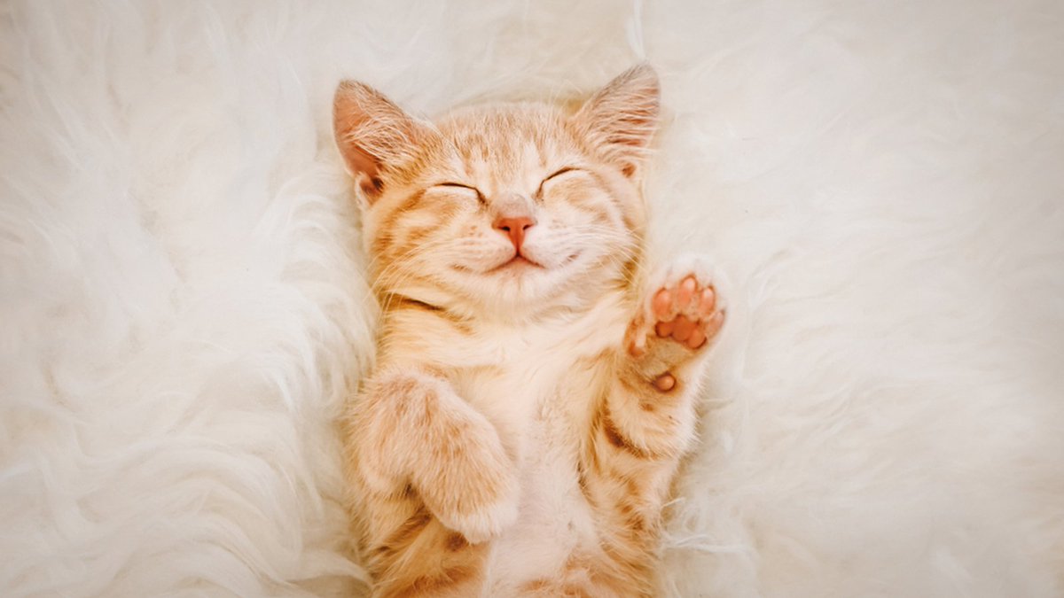 JCPinNEMidWales's tweet image. That is it for today from @JCPinNEMidWales! Be sure to join us again tomorrow for more #Jobs and #Advice from 8am. #WalesJobsLive